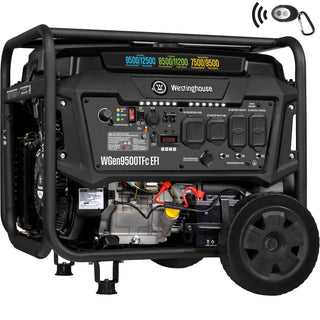 EFI Portable Generators