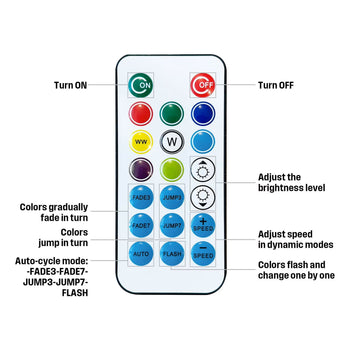 24 Bulb Color Changing String Light 48 Ft