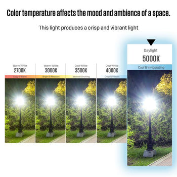 19 Watt (125 Watt Equivalent) Omni A21 LED Light Bulb