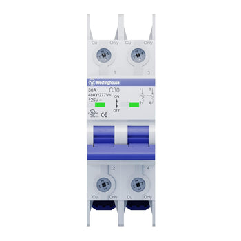 30A 2 Pole Miniature Circuit Breaker C Curve