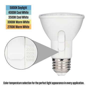 6.5 Watt (50 Watt Equivalent) PAR20 Flood Dimmable Indoor/Outdoor LED Light Bulb with Color Temperature Selection