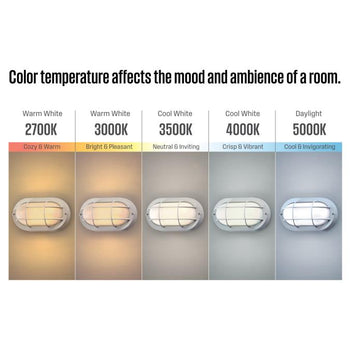 9 Inch, 6-Watt Dimmable LED Outdoor Wall Fixture