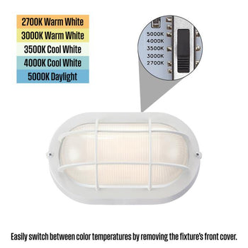 9 Inch, 6-Watt Dimmable LED Outdoor Wall Fixture
