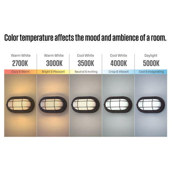 9 Inch, 6-Watt Dimmable LED Outdoor Wall Fixture