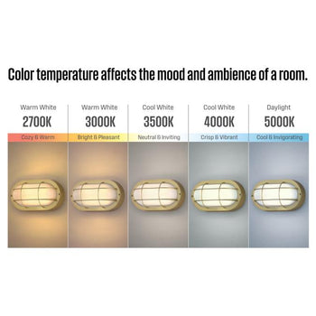 9 Inch, 6-Watt Dimmable LED Outdoor Wall Fixture