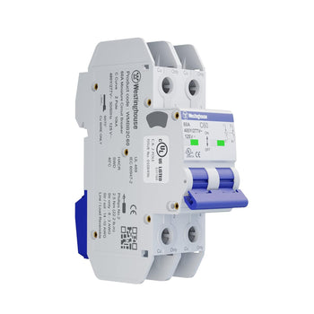 60A 2 Pole Miniature Circuit Breaker C Curve