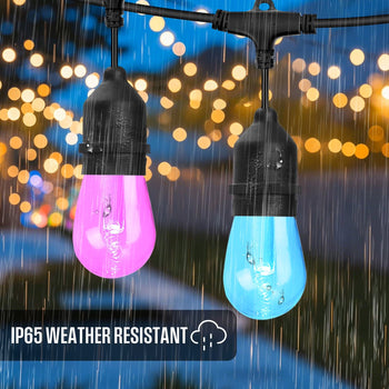 24 Bulb Color Changing String Light 48 Ft