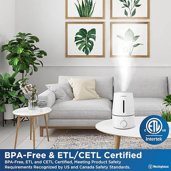 Cool Mist Ultrasonic Humidifier 3L Bottom Fill