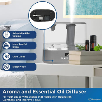 Antimicrobial Air Sterilization Humidifier, Charcoal