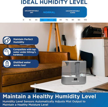 Antimicrobial Air Sterilization Humidifier, Charcoal