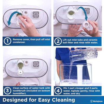Antimicrobial Air Sterilization Humidifier, Charcoal
