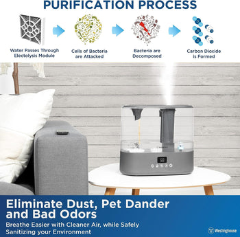 Antimicrobial Air Sterilization Humidifier, Charcoal
