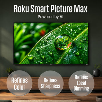 65” Mini-LED 4K UHD Roku TV Max