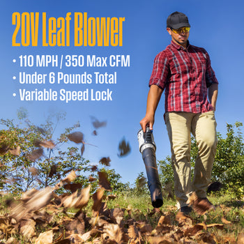 Cordless 20V Leaf Blower/String Trimmer Kit