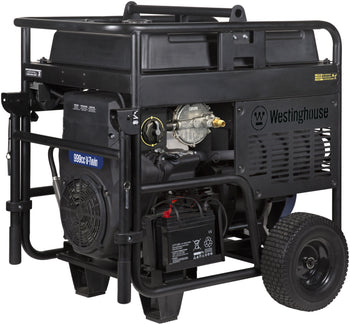 WGen20000TFc - Tri-Fuel with CO Sensor