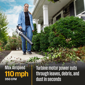 Cordless 20V Leaf Blower