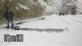 WSnow11SD 11