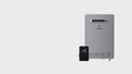 Apolo Performance Tankless Outdoor Natural Gas Water Heater 180,000 BTU