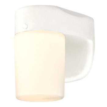 One-Light Dimmable LED Outdoor Wall Fixture with Dusk to Dawn Sensor, White Finish