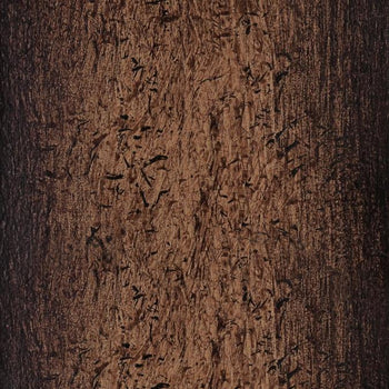 Cindy Three-Light Indoor Wall Fixture, Oil-Rubbed Bronze Finish with Barnwood Accents