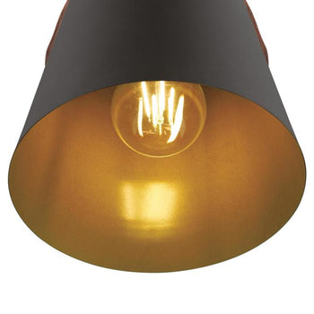 Pasco One-Light Indoor Mini Pendant, Black-Bronze Finish