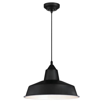 Academy One-Light LED Indoor Pendant with Removable Chrome Cage, Black Finish