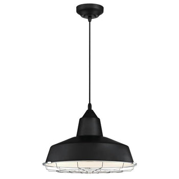 Academy One-Light LED Indoor Pendant with Removable Chrome Cage, Black Finish