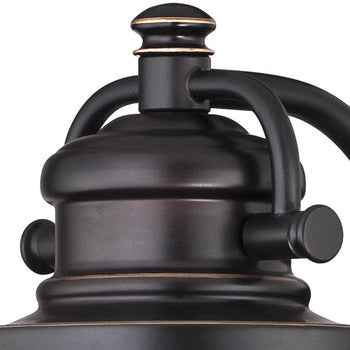 Emma Jane One-Light Outdoor Wall Lantern, Amber Bronze Finish with Highlights on Steel and Clear Seeded Glass