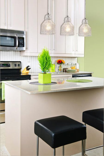 One-Light Indoor Mini Pendant, Brushed Nickel Finish