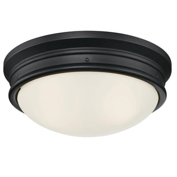 Meadowbrook Two-Light Flush-Mount Indoor Ceiling Fixture, Matte Black Finish