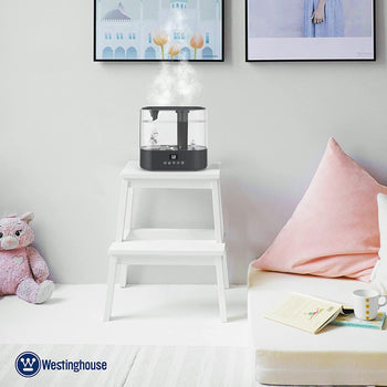 Antimicrobial Air Sterilization Humidifier Charcoal