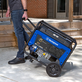 WGen3600c Generator with CO Sensor