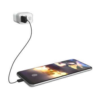 Dual USB Tap
